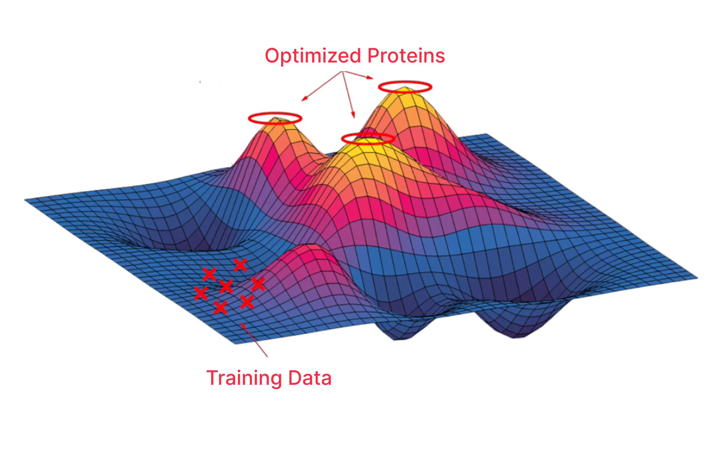 Protein structure visualization