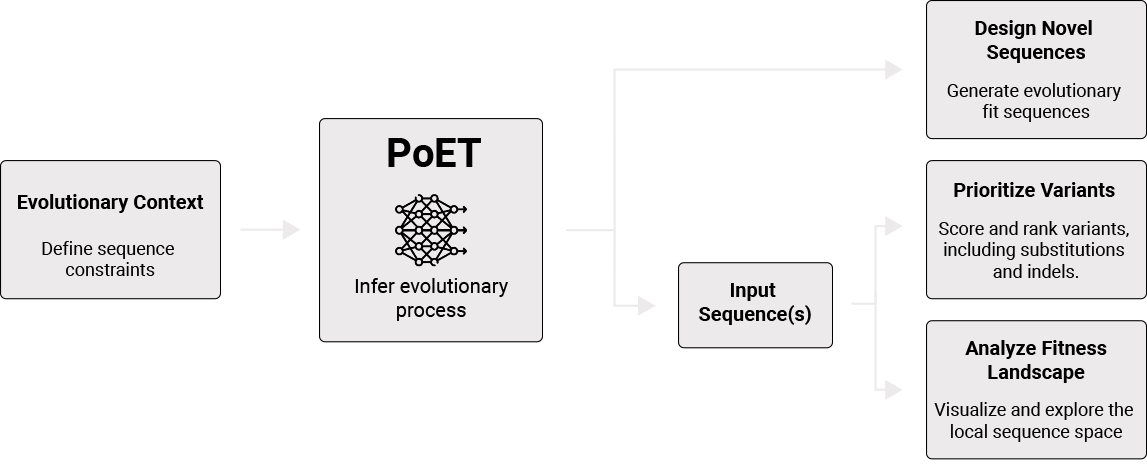 PoET Process Diagram